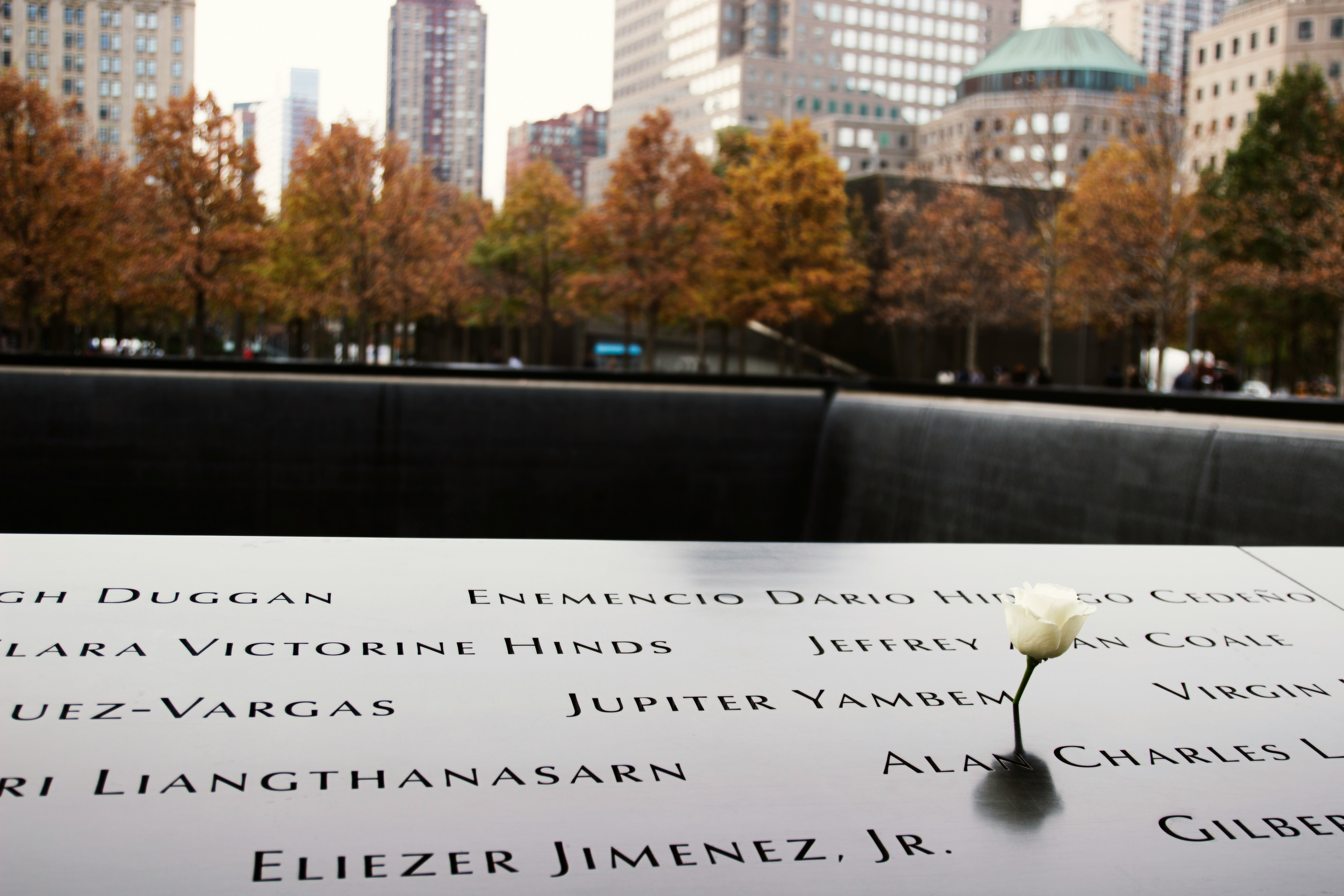 A Response to Terrorism